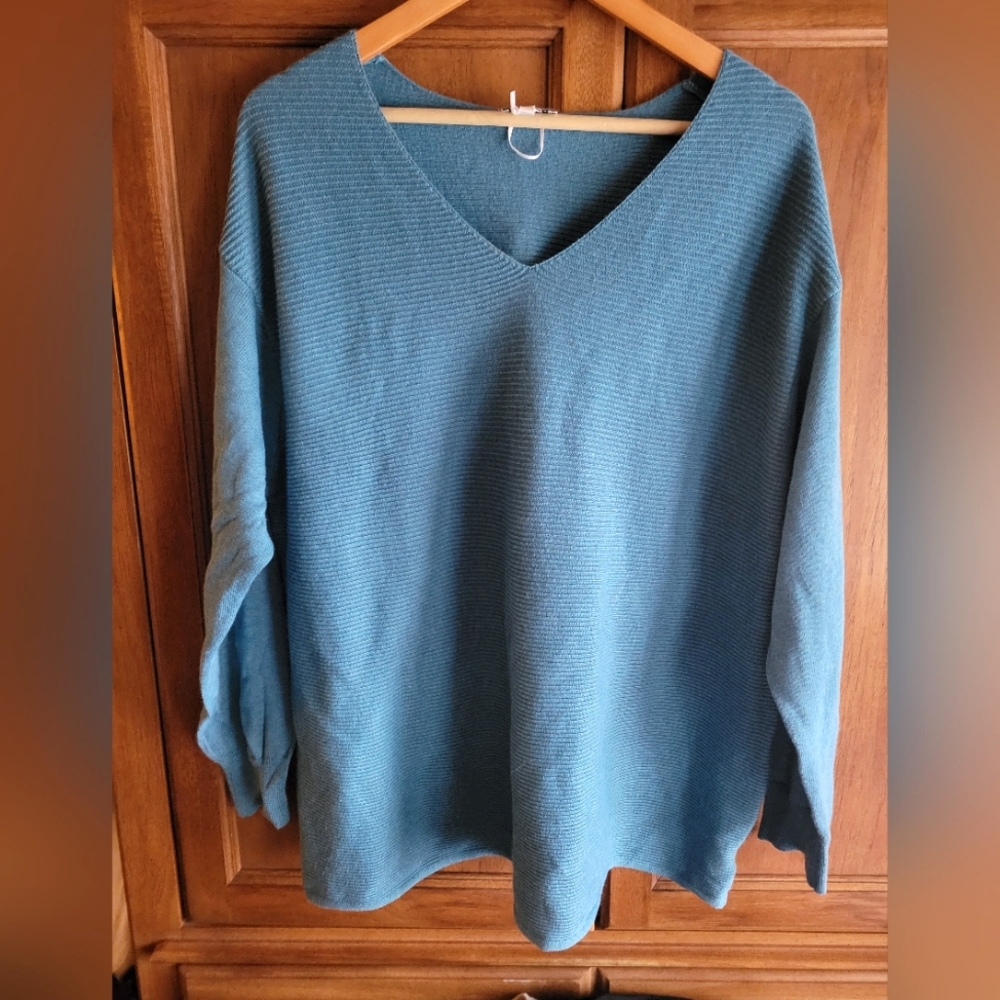 Ella Moss Blue V-Neck Women's Sweater